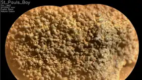 Mars'ta Örümcek Yumurtalarına Benzeyen Gizemli Kaya Keşfi!