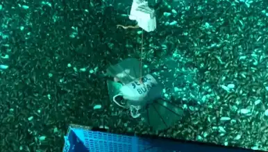 Çin'den Mariana Çukuru'na Robot Atakı!