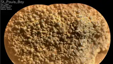 Mars'ta Örümcek Yumurtalarına Benzeyen Gizemli Kaya Keşfi!