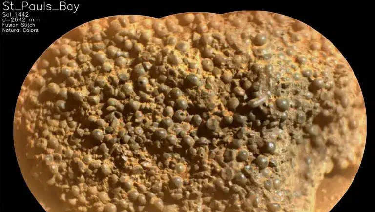 Mars'ta Örümcek Yumurtalarına Benzeyen Gizemli Kaya Keşfi!